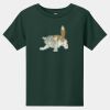 Toddler Short Sleeve Tee Thumbnail