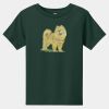 Toddler Short Sleeve Tee Thumbnail