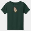 Toddler Short Sleeve Tee Thumbnail