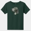 Toddler Short Sleeve Tee Thumbnail