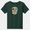 Toddler Short Sleeve Tee Thumbnail