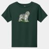 Toddler Short Sleeve Tee Thumbnail