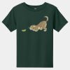 Toddler Short Sleeve Tee Thumbnail