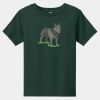 Toddler Short Sleeve Tee Thumbnail