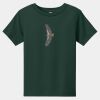 Toddler Short Sleeve Tee Thumbnail