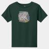 Toddler Short Sleeve Tee Thumbnail