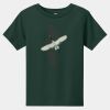 Toddler Short Sleeve Tee Thumbnail