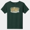 Toddler Short Sleeve Tee Thumbnail