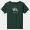Toddler Short Sleeve Tee Thumbnail