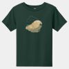 Toddler Short Sleeve Tee Thumbnail