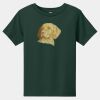 Toddler Short Sleeve Tee Thumbnail