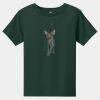 Toddler Short Sleeve Tee Thumbnail