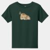 Toddler Short Sleeve Tee Thumbnail