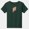 Toddler Short Sleeve Tee Thumbnail