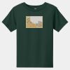 Toddler Short Sleeve Tee Thumbnail