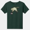 Toddler Short Sleeve Tee Thumbnail