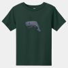 Toddler Short Sleeve Tee Thumbnail