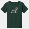 Toddler Short Sleeve Tee Thumbnail