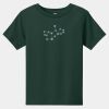 Toddler Short Sleeve Tee Thumbnail