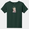 Toddler Short Sleeve Tee Thumbnail