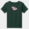 Toddler Short Sleeve Tee Thumbnail