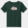 Toddler Short Sleeve Tee Thumbnail