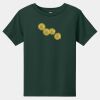 Toddler Short Sleeve Tee Thumbnail