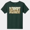 Toddler Short Sleeve Tee Thumbnail