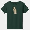 Toddler Short Sleeve Tee Thumbnail