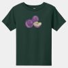 Toddler Short Sleeve Tee Thumbnail