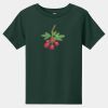Toddler Short Sleeve Tee Thumbnail