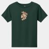 Toddler Short Sleeve Tee Thumbnail