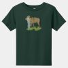 Toddler Short Sleeve Tee Thumbnail