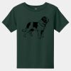 Toddler Short Sleeve Tee Thumbnail