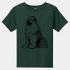 Toddler Short Sleeve Tee Thumbnail