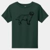 Toddler Short Sleeve Tee Thumbnail