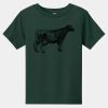 Toddler Short Sleeve Tee Thumbnail