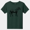 Toddler Short Sleeve Tee Thumbnail