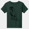 Toddler Short Sleeve Tee Thumbnail