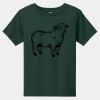 Toddler Short Sleeve Tee Thumbnail