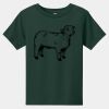 Toddler Short Sleeve Tee Thumbnail