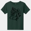 Toddler Short Sleeve Tee Thumbnail