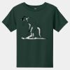 Toddler Short Sleeve Tee Thumbnail