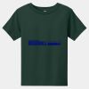 Toddler Short Sleeve Tee Thumbnail