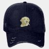 OTTO CAP 6 Panel Low Profile Dad Hat Thumbnail