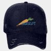 OTTO CAP® 6 Panel Low Profile Dad Hat Thumbnail
