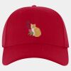 OTTO CAP® OTTO FLEX® Fitted 6 Panel Low Profile Baseball Cap Thumbnail