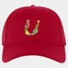OTTO CAP® OTTO FLEX® Fitted 6 Panel Low Profile Baseball Cap Thumbnail