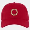 OTTO CAP® OTTO FLEX® Fitted 6 Panel Low Profile Baseball Cap Thumbnail