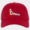 OTTO CAP® OTTO FLEX® Fitted 6 Panel Low Profile Baseball Cap Thumbnail